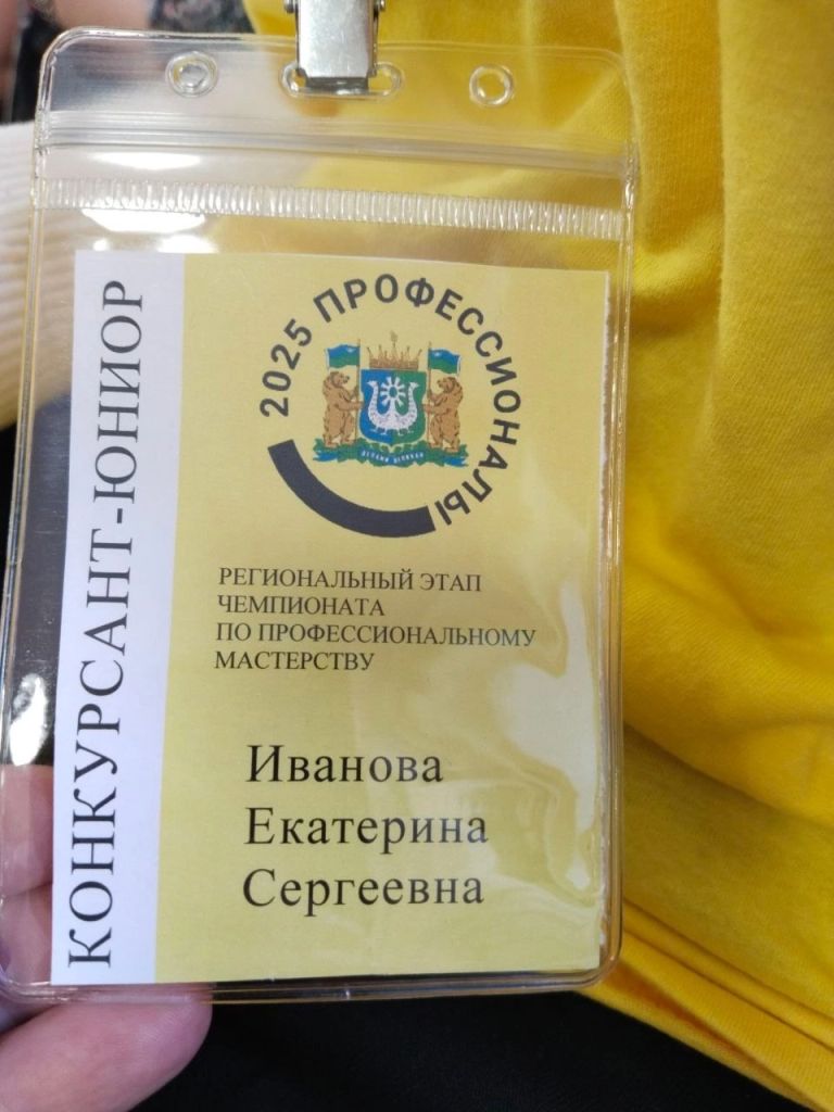 Чемпионат по профессиональному мастерству.