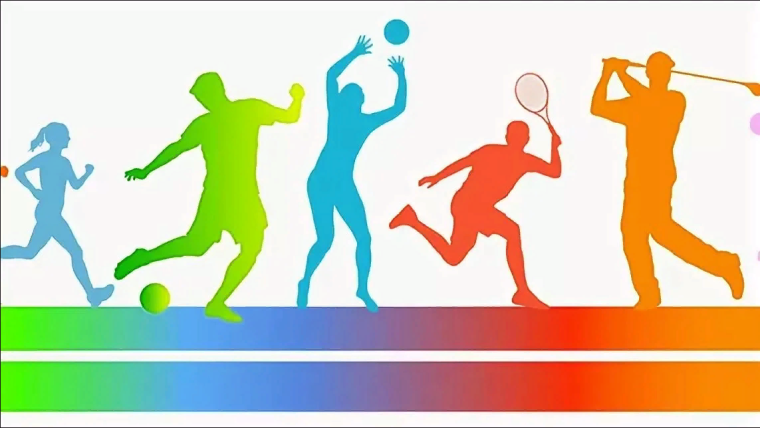 Вебинар  по  вопросам  взаимодействия  в  сфере  подготовки  кадров  с высшим образованием  в области физической культуры  и  спорта.